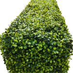 Portable artificial plant hedge wall panel / boxwood hedge 75cn high end view