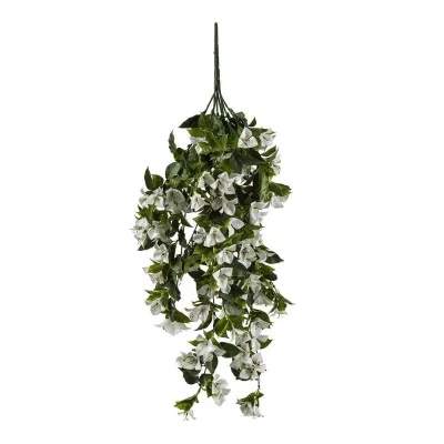 hanging plant with white flowers