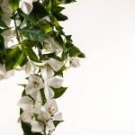 hanging garland artificial bougainvillea plant white