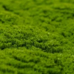 Fake moss panel with natural like moss