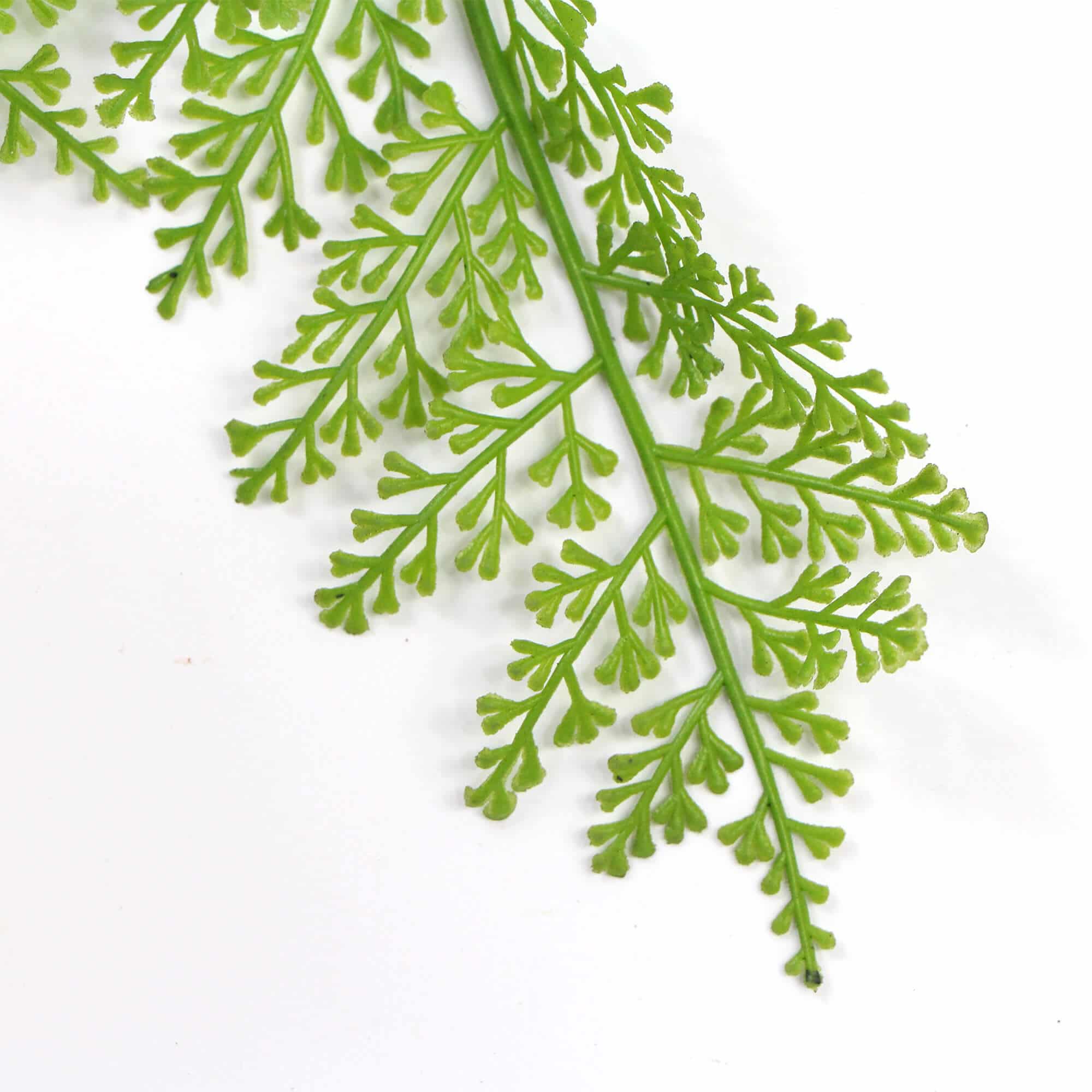 Leaves Close Up Leaves Stem Hanging 80cm Hanging Fresh Green Dense Maiden Hair Fern Bush UV Resistant