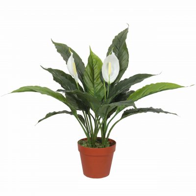 Artificial Spathiphyllum Peace Lily Plant with White FLowers 60cm