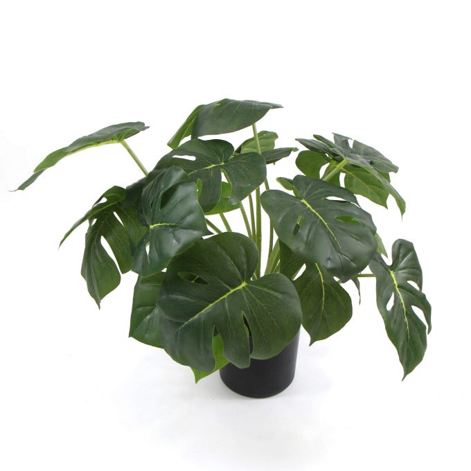 Dense Potted Artificial Split Philodendron Plant with Real Touch Leaves 50cm