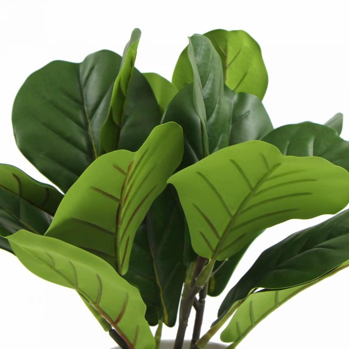 Top of leaves Artificial fiddle leaf fig in ceramic bowl