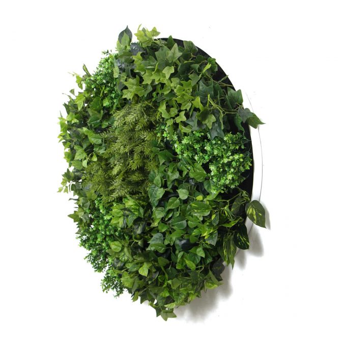 Artificial Green Wall Disc Side View