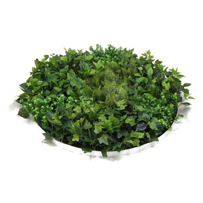 Artificial Green Wall Disc Side View / Top View