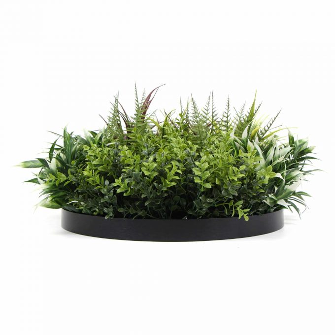 Outdoor Green Wall Disc / Wall Art Side View of Foliage