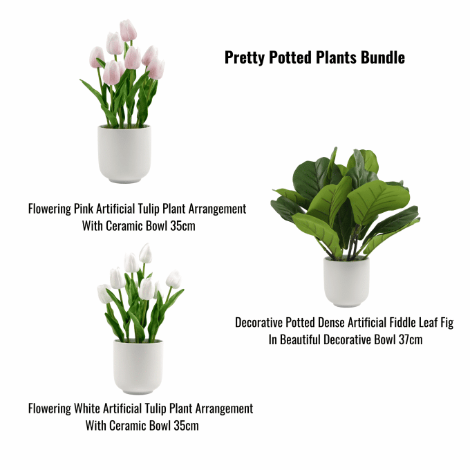 Pretty Potted Plants Bundle