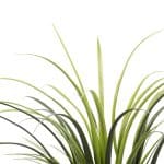 Long Potted Artificial Grass Plant