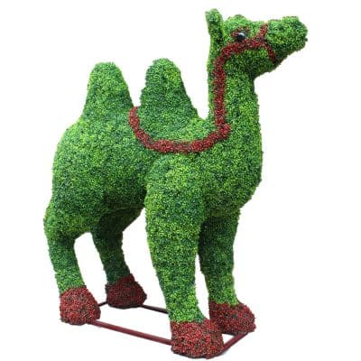 Large Boxwood Camel Animal for Events and Shows Also known as a fake plant animal