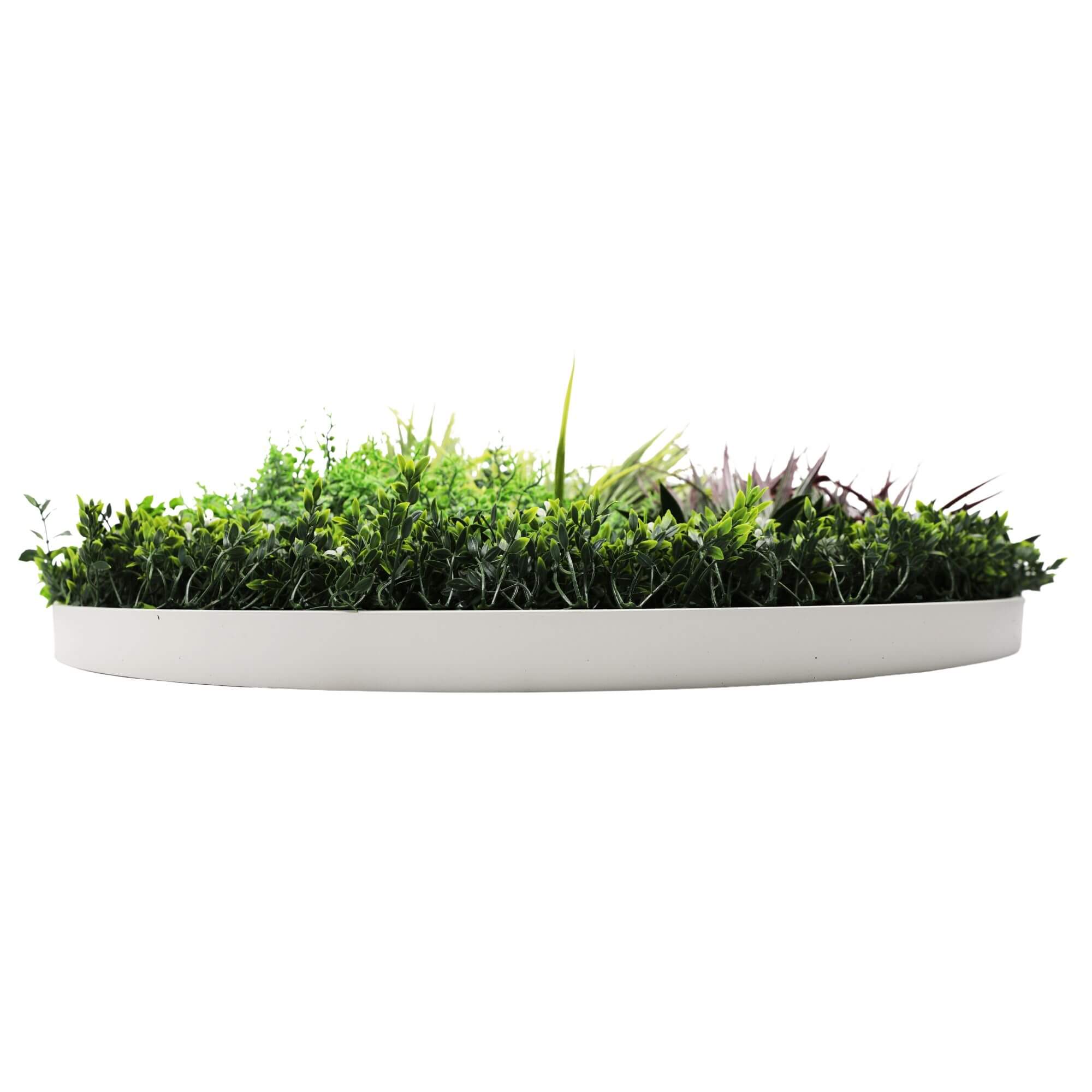 UV Resistant Slimline Artificial Green Wall Disc White 100cm Grassy Ferns Field Wall Art Side View