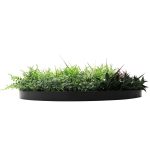 Side View Slimline Artificial Green Wall Disc Art 80cm Grassy Fern UV Resistant (Black)