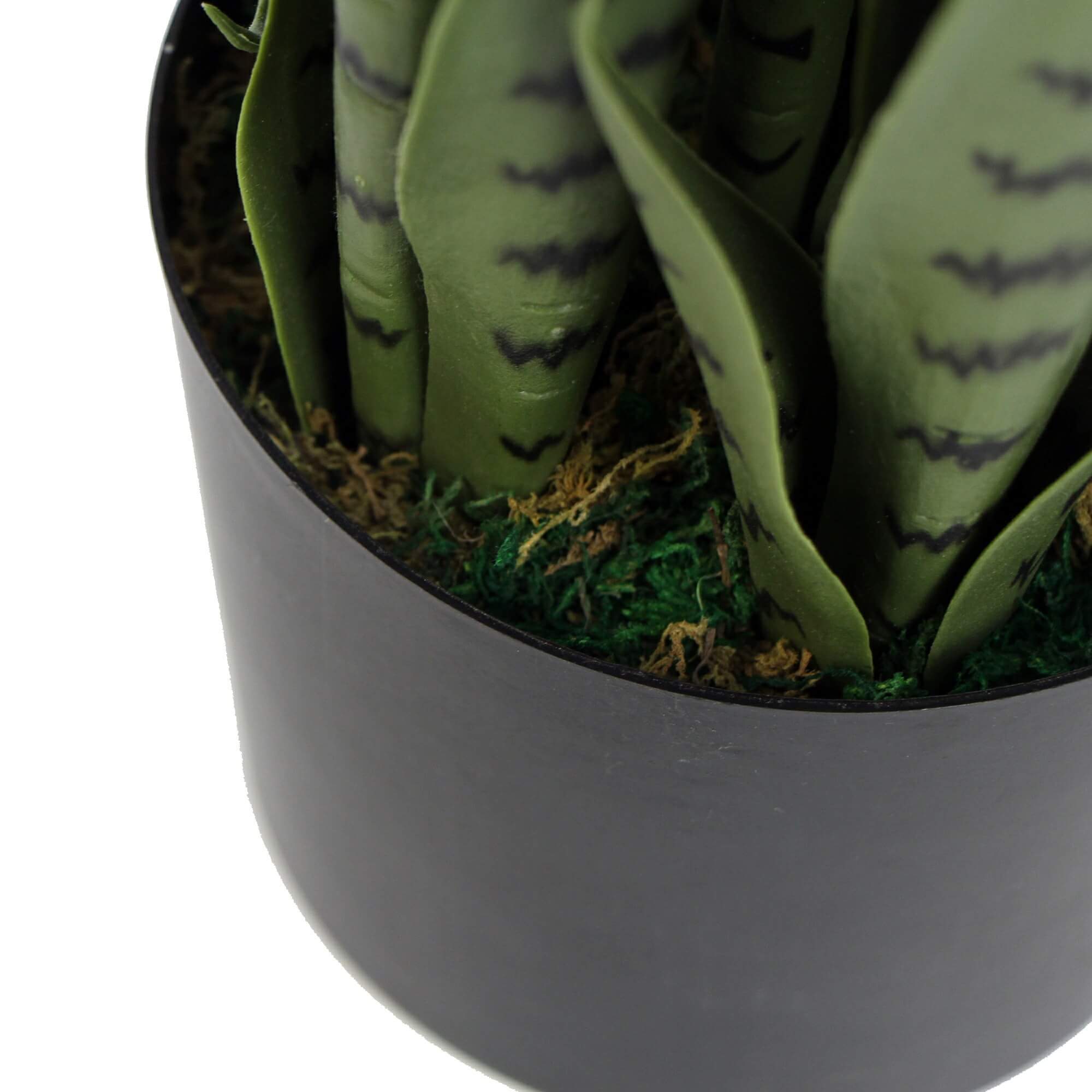 Artificial Snake Plant Sansevieria UV Resistant 85cm With Potted Snake Plant