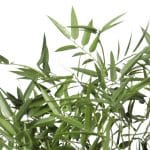 Premium Artificial Bamboo Plant with Black Trunk and Outdoor Leaves