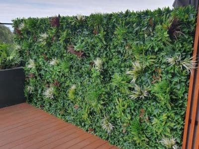 vertical garden green wall