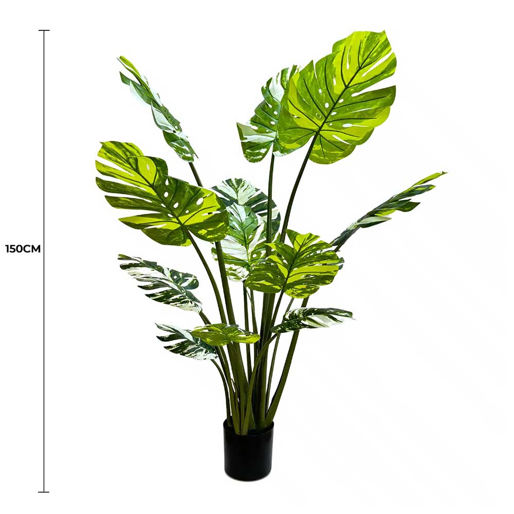 Premium Artificial Potted Monstera Albo 150cm - Designer Plants®