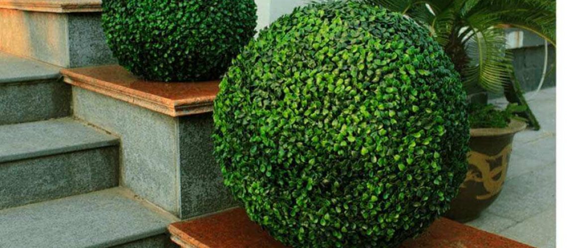 Decorate Your Home With Topiary, Fake Outdoor Topiary Plants